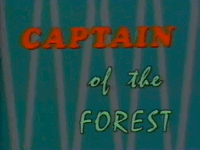 Captain of the Forest (european)