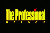 Professional, The (movie)