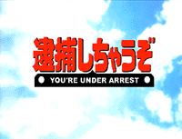 You're Under Arrest (special)