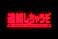 You're Under Arrest (TV)