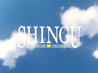 Shingu (TV)