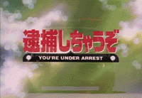 You're Under Arrest (OVA)